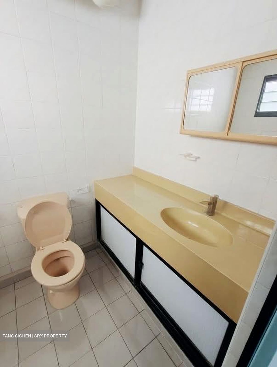 Blk 287B Jurong East Street 21 (Jurong East), HDB Executive #572253231